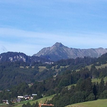 Magnificent Chalet On The Mountain Slopes Les Gets Esterno foto