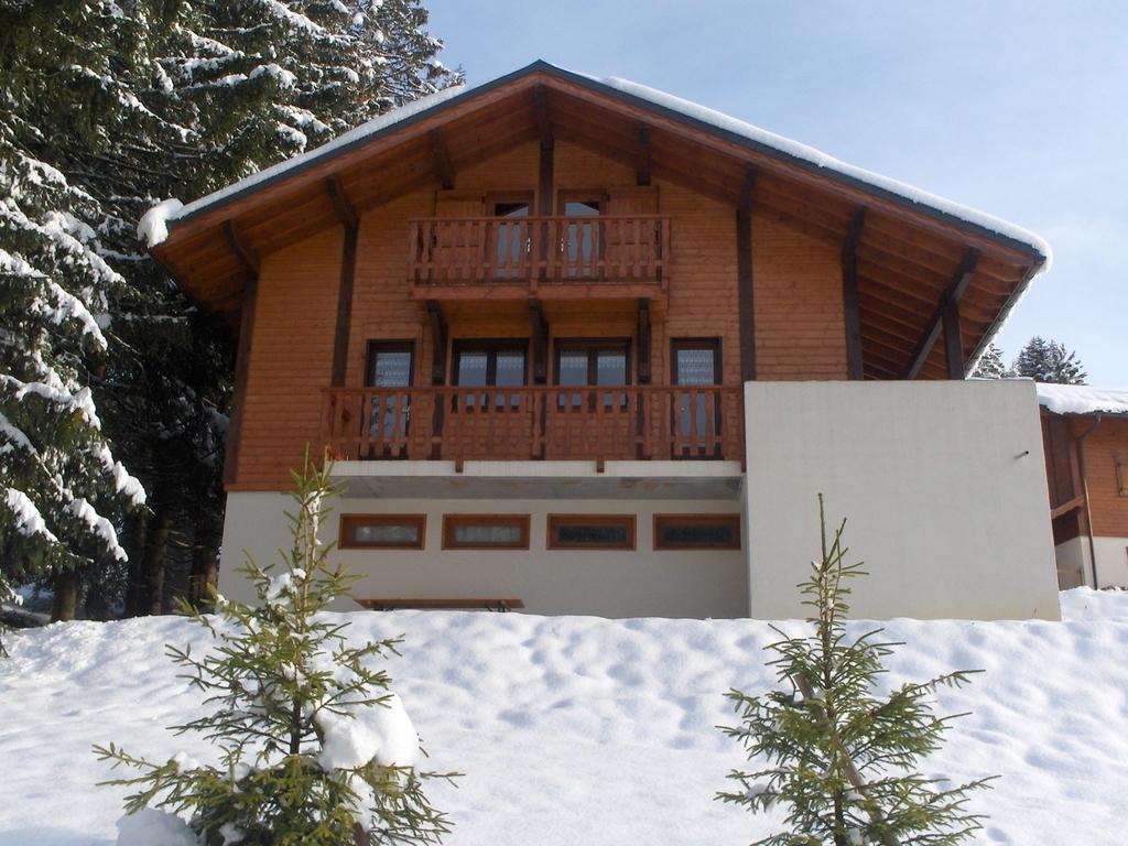 Magnificent Chalet On The Mountain Slopes Les Gets Esterno foto
