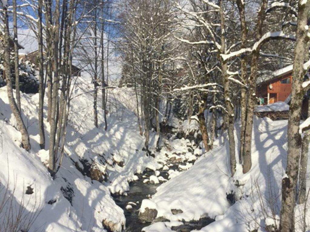 Magnificent Chalet On The Mountain Slopes Les Gets Esterno foto