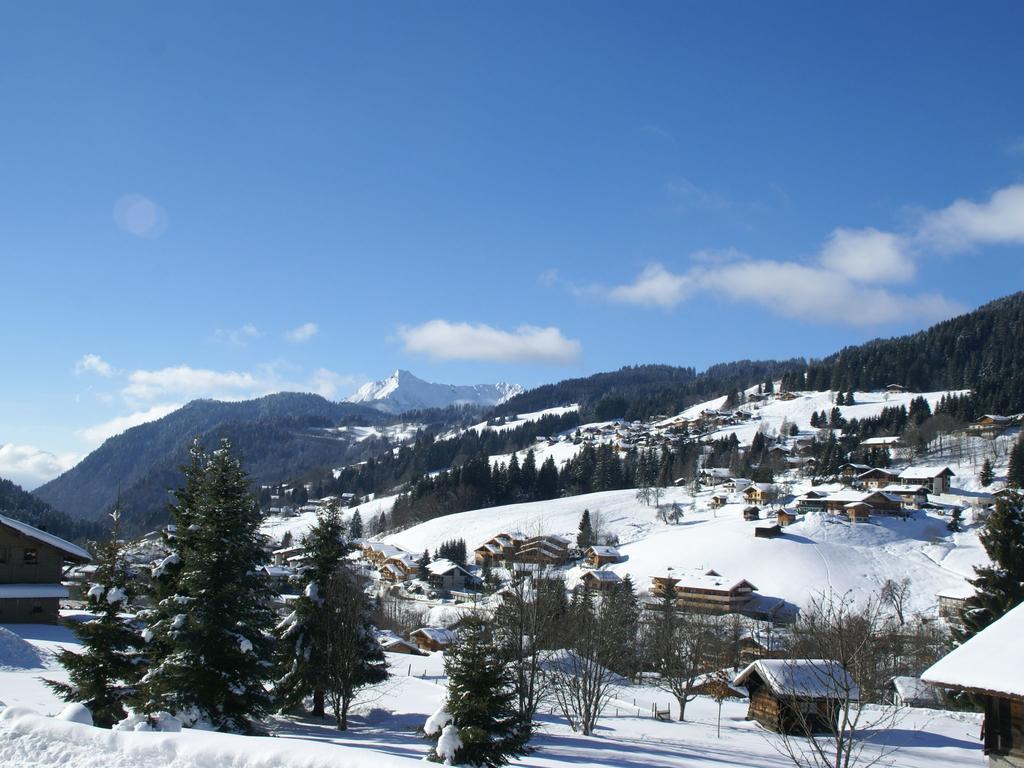 Magnificent Chalet On The Mountain Slopes Les Gets Esterno foto