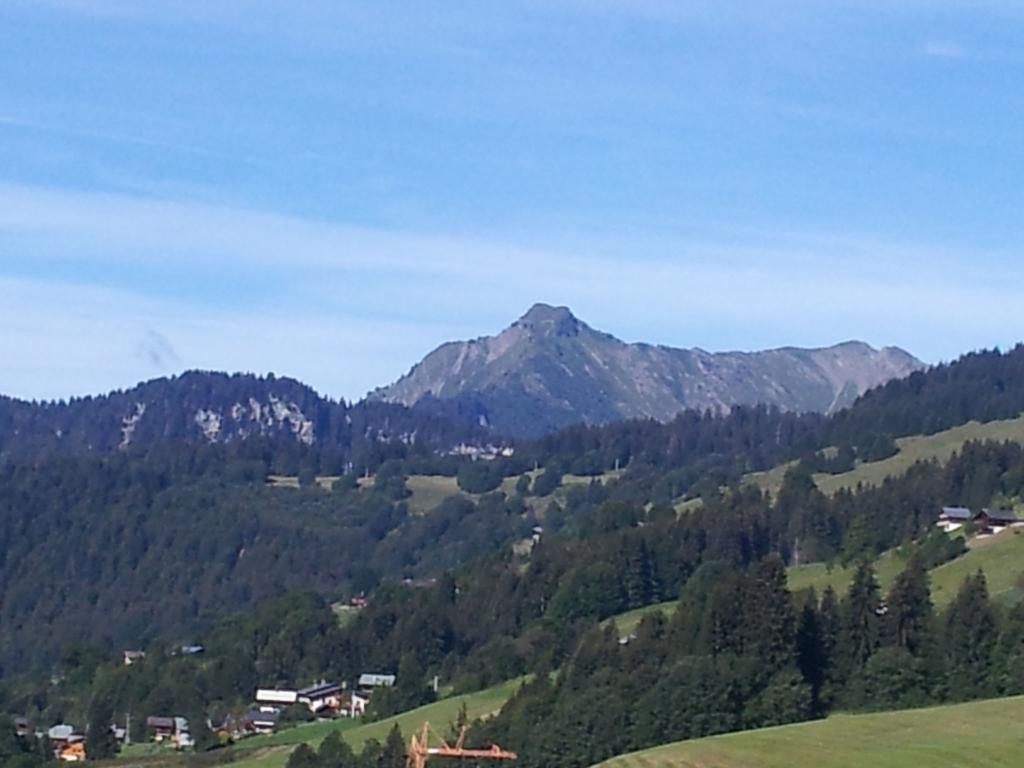 Magnificent Chalet On The Mountain Slopes Les Gets Esterno foto