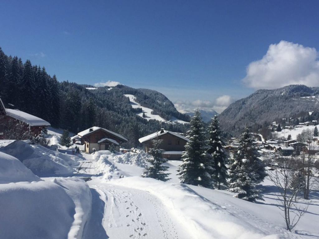 Magnificent Chalet On The Mountain Slopes Les Gets Esterno foto